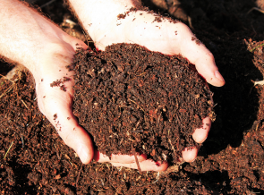 Organic Manures (Vermicompost)